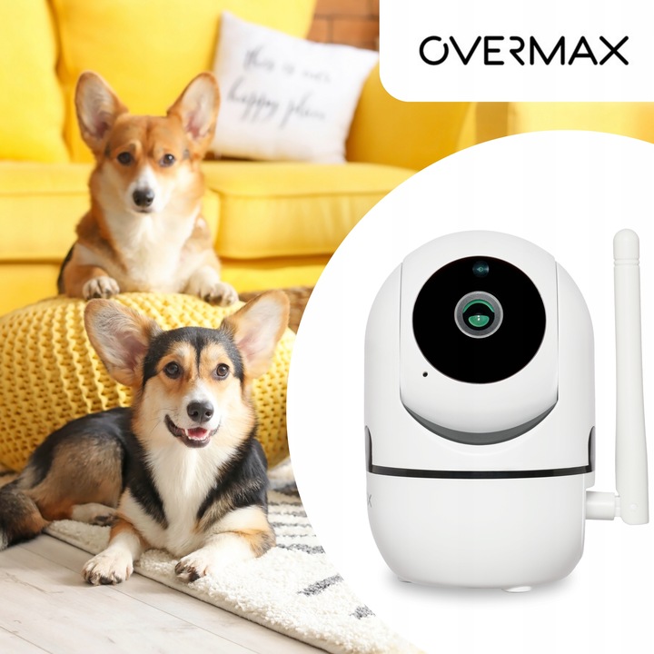 KAMERA DLA PSA KOTA DO OBSERWACJI MONITORING DOMU APLIKACJA Karta SD GRATIS