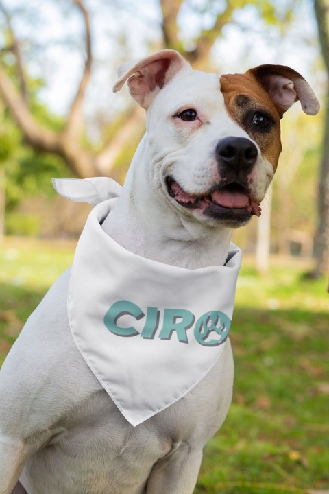 Karma sucha dla psa Ciro 10 kg wołowina wszystkie rasy Adult