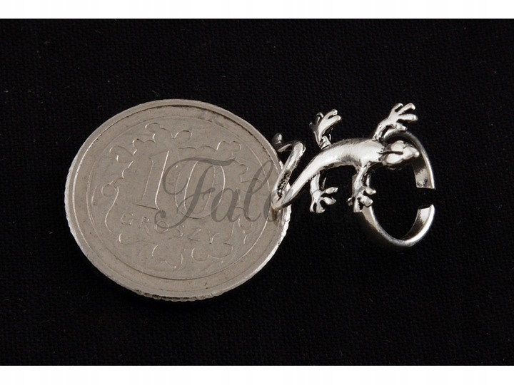 NAUSZNICA GEKON JASZCZUR JASZCZURKA GAD kn032