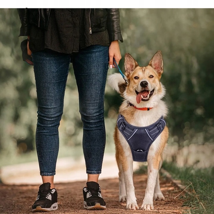 SZELKI BEZUCISKOWE dla dużego psa typu GUARD ELITE XL dla owczarka czar