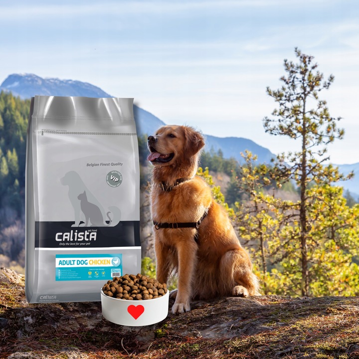 CALISTA SUCHA KARMA DLA PSA KURCZAK 12 KG OWCZAREK LABRADOR GOLDEN BORDER