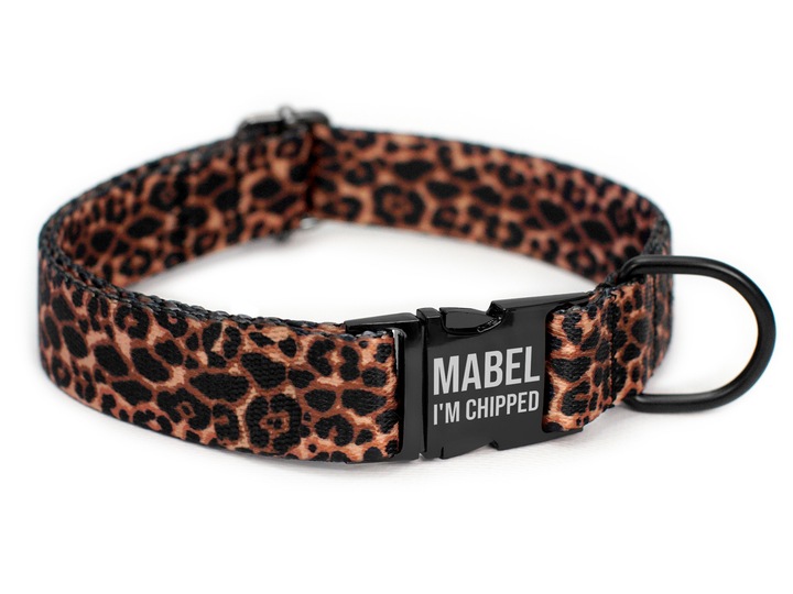 Obroża Dla Psa z Grawerem r. M