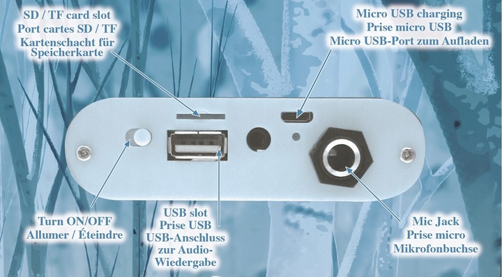 Kraina Lodu 2 Głośnik Karaoke LED Mic Bluetooth