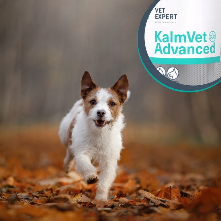 VET EXPERT KALMVET ADVANCED - preparat na objawy stresu dla psów i kotów