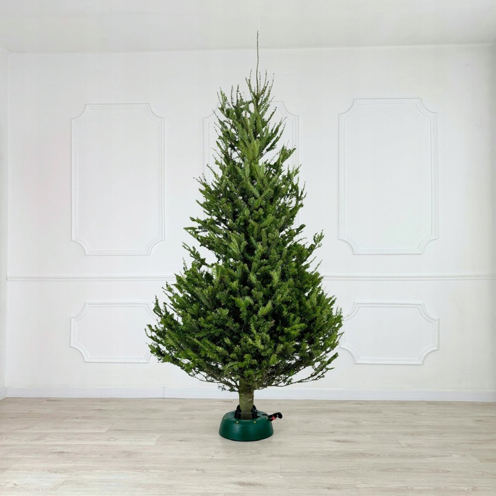 Stojak pod choinkę STABILNY PODSTAWA POD DRZEWKO ZIELONA DO 2 METRÓW