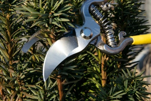 SEKATOR NOŻYCE OGRODOWE DO GAŁĘZI RĘCZNY KRZEWÓW