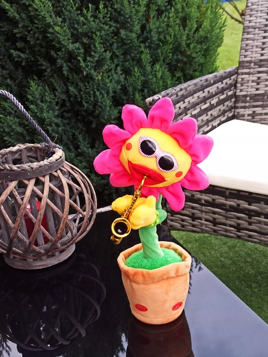 ŚPIEWAJĄCY TAŃCZĄCY KWIATEK z saksofonem SŁONECZNIK JAK KAKTUS