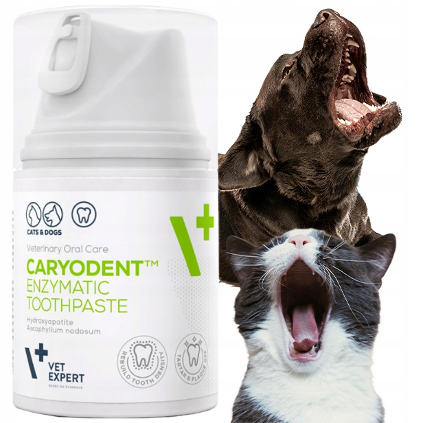 VET EXPERT Caryodent Enzymatyc enzymatyczna pasta do zębów dla psa i kota