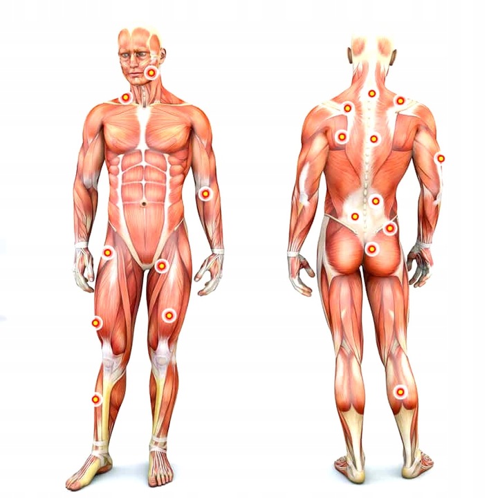 MASA HYDROLIZAT BIAŁKO WOŁOWE BCAA EAA OSTROVIT BEFFF PROTEIN KEBEB 360 G