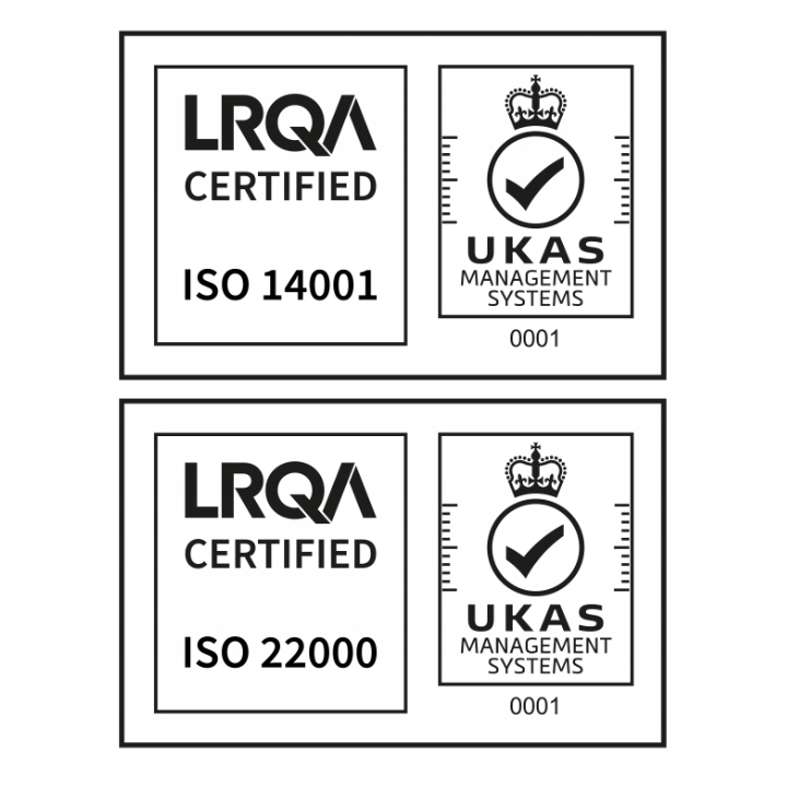 Żelazo elementarne + Witamina C Kwas foliowy burak szpinak Anemia Wegan