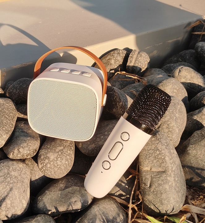 MIKROFON BEZPRZEWODOWY KARAOKE GŁOŚNIKIEM BLUETOOTH GŁOŚNIK Z KOLOROWYM LED