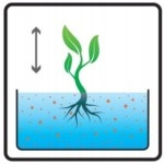 Mikoryza - Grzybnia Rhodovit Symbiom do Borówek