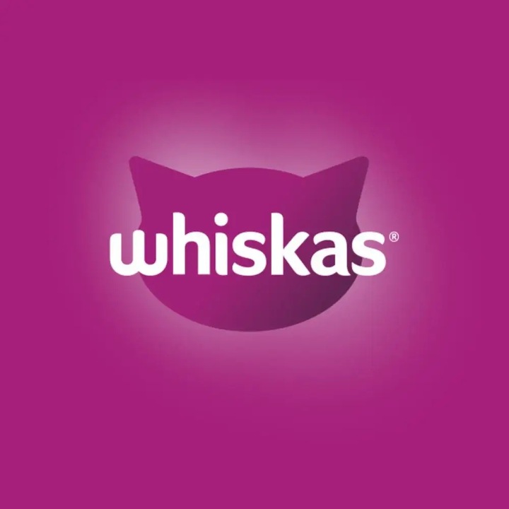 WHISKAS SUCHA KARMA DLA KOTÓW DOROSŁYCH KURCZAK 3,8 KG