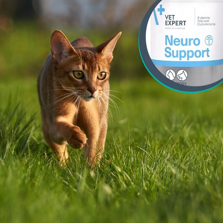Preparat dla psów kotów na układ nerwowy Vet Expert Neurosupport 45 kaps