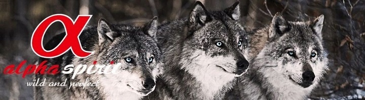 ALPHA SPIRIT 7 DAYS MENU FORMULA KARMA SUCHA PÓŁMIĘKKA 1KG