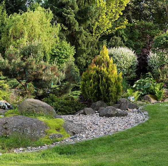 SUMIN ZAKWASZAJĄCY 2,5KG NAWÓZ KWAŚNOLUBNYCH BORÓWKI BORÓWEK WRZOSY