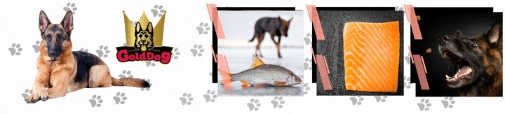 Olej z Łososia 1l dla psa i kota GoldDog