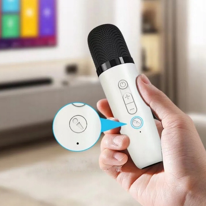 BEZPRZEWODOWY ZESTAW DO KARAOKE DLA DZIECI BLUETOOTH GŁOŚNIK + 2 MIKROFONY