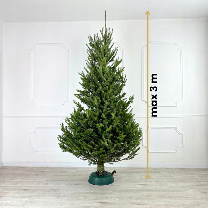 STOJAK CHOINKOWY NA CHOINKĘ DUŻY DRZEWKO 3m PODSTAWKA NA WODĘ SAMOZACISKOWY