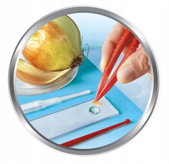 Clementoni Naukowa Zabawa Super mikroskop 50755