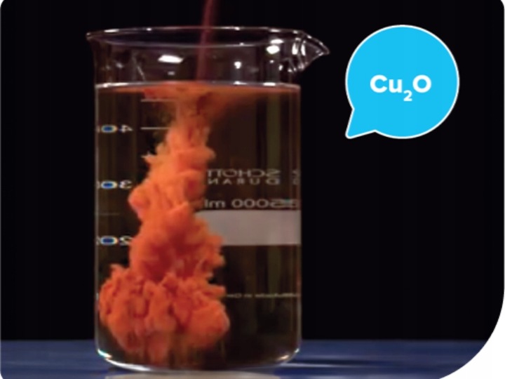 Nordox 75WG MIEDZ 1kg ŚRODEK GRZYBOBÓJCZY choroby grzybowe PARCH MĄCZNIAK