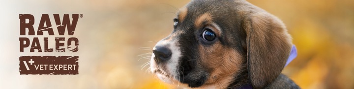 Mokra karma dla szczeniąt małych ras wołowina Raw Paleo Pate 12 x 150g