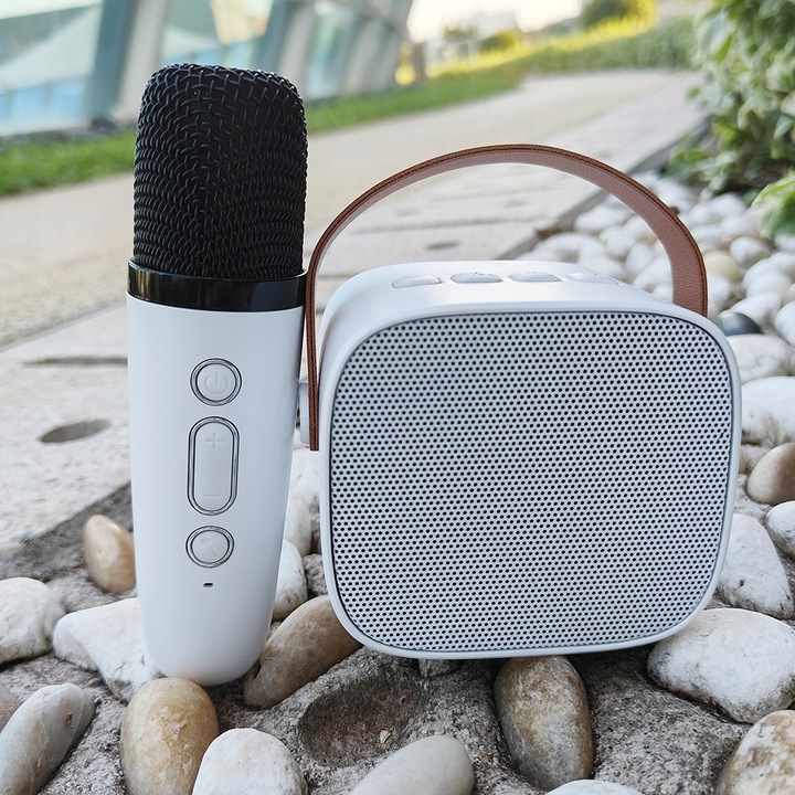 MIKROFON BEZPRZEWODOWY KARAOKE GŁOŚNIKIEM BLUETOOTH GŁOŚNIK Z KOLOROWYM LED