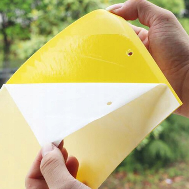 ŻÓŁTE LEPY DO DONICZEK ziemiórki OWADY skuteczne