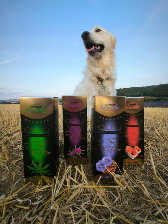 VITAR Veterinae Olej Lniany 1000 ml - lśniąca sierść, doskonałe źródło