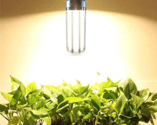 ŻARÓWKA DO ROŚLIN LED GROW CORN FULL SPECTRUM 50W