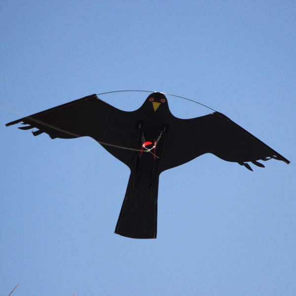 Odstraszacz Ptaków Szpaków CH2 z Masztem 4m