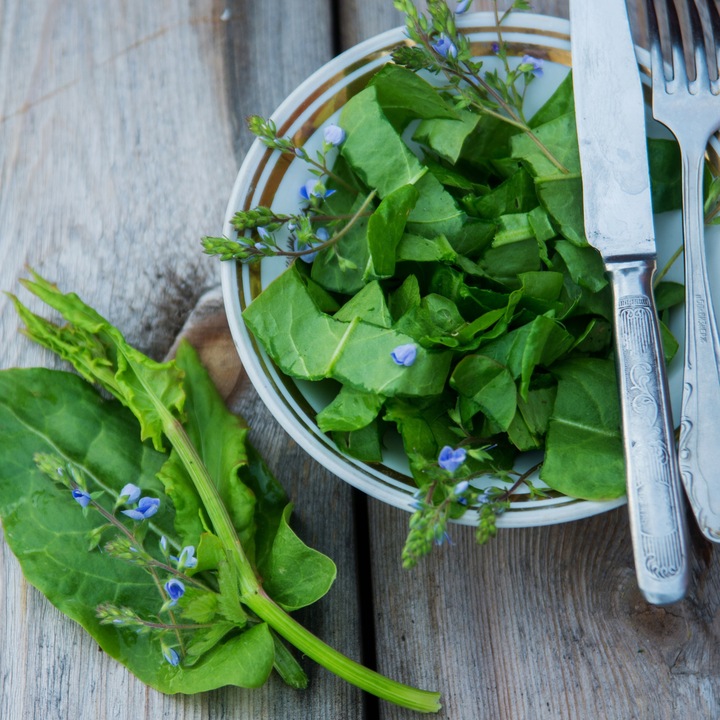 ODCHUDZANIE zioła na OTYŁOŚĆ APETYT ZATRZYMANIE WODY cukier GURMAR