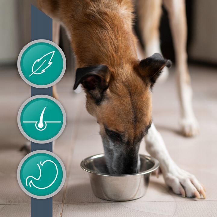 ZESTAW VET EXPERT HYPOALLERGENIC mokra karma weterynaryjna dla psa 6x400g