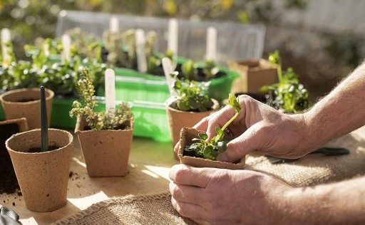 3-CZĘŚCIOWY MINI ZESTAW NARZĘDZI OGRODOWYCH NARZĘDZIA AKCESORIA DO OGRODU