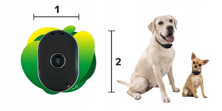 CALMEAN Pet Tracker Mini + obroża S/M GPS dla Psa