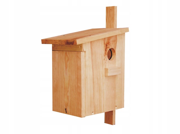 Budka lęgowa dla wiewiórki