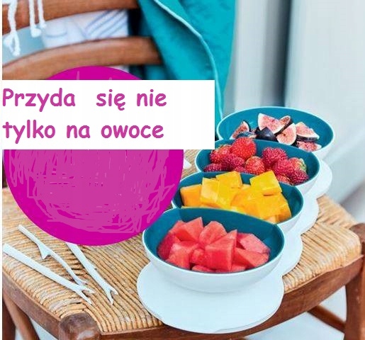 Tupperware Bufet na przekąski pojemnik piknik F-ra