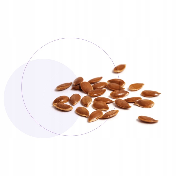 Jasnum uro 60 kapsułek