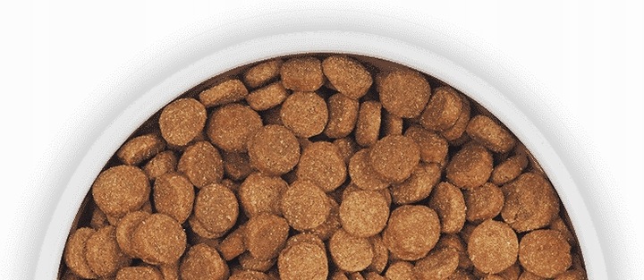 PEDIGREE sucha karma dla psa duże i średnie rasy drób warzywa 12 kg