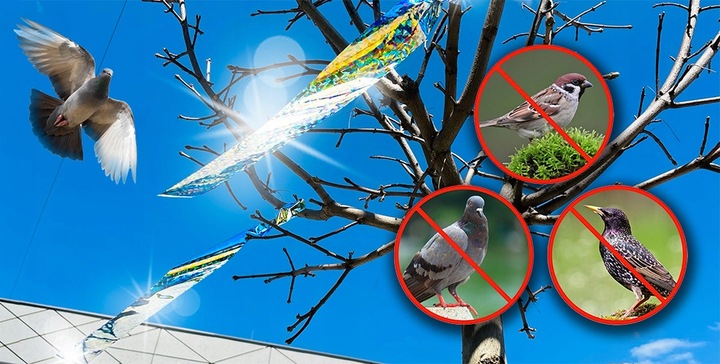 ZESTAW DO ODSTRASZANIA PTAKÓW GOŁĘBIE WRÓBLE MEWY