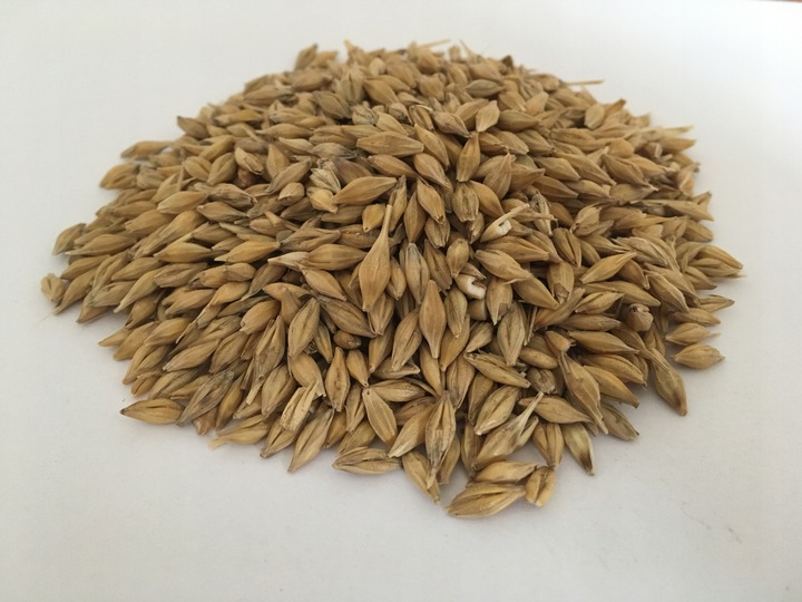 Pasza karma ziarna dla kur niosek bez GMO susz marchew pokrzywa NATURALNA