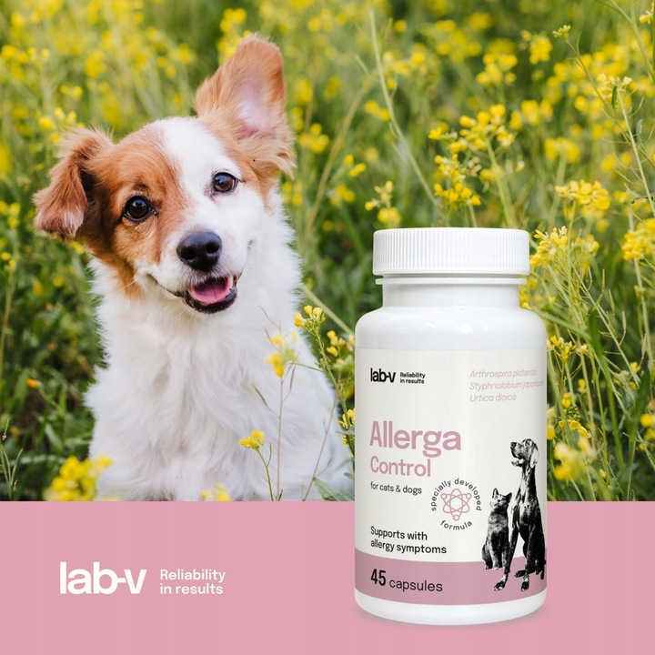 Allerga Control Wsparcie przy objawach alergii dla psów i kotów 45 kapsułek