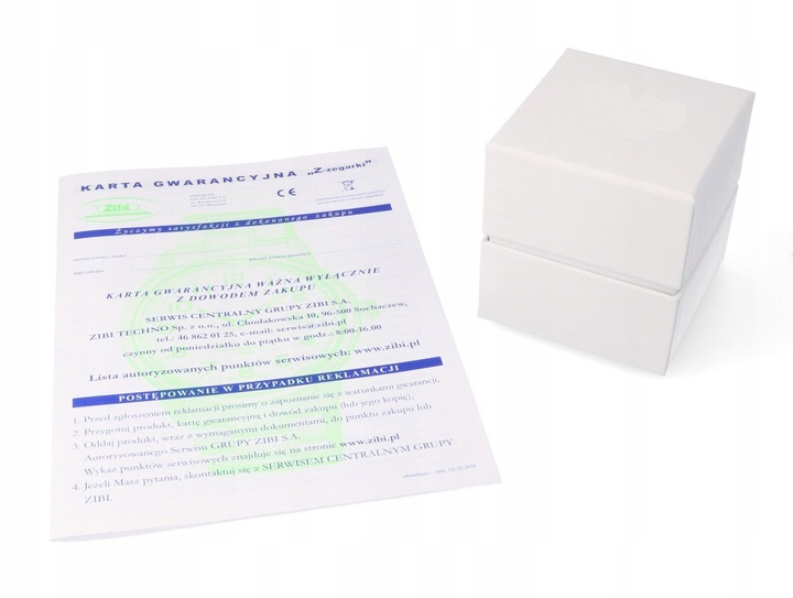 Zegarek CASIO Vintage A100WE -7BEF