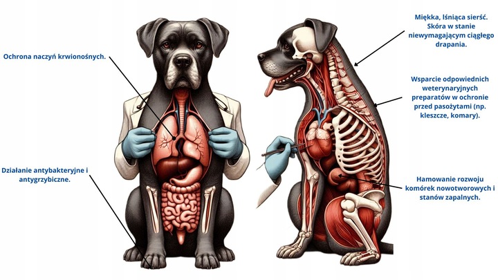 Suplement Do michy Czystek 100% dla psa sproszkowany pasożyty sierść 300g