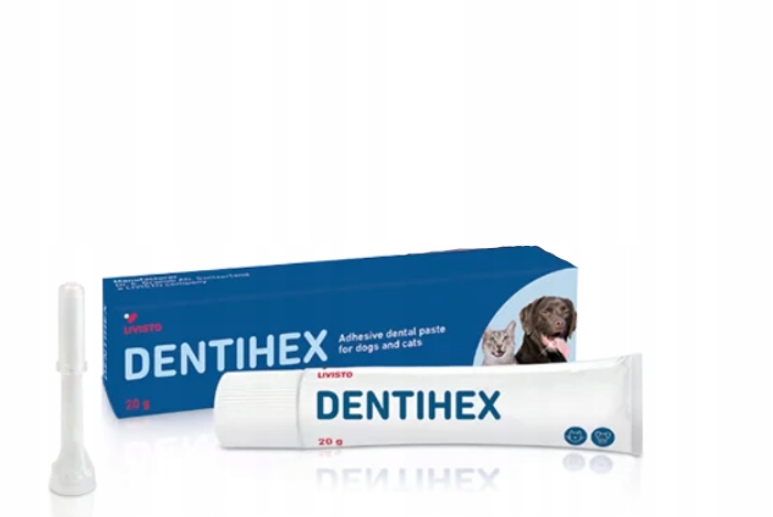 DENTIHEX 20 G Z APLIKATOREM pasta do zębów dla psów i kotów