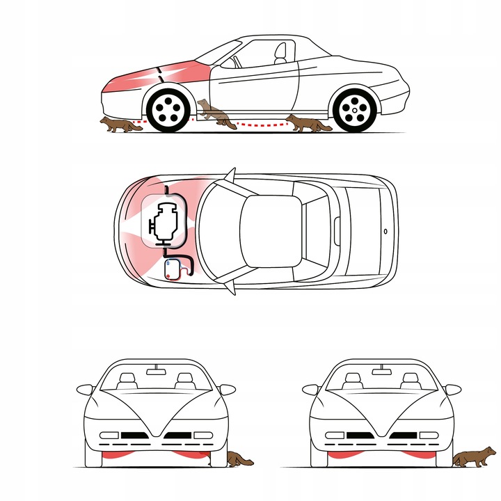 Ultradźwiękowy odstraszacz kun Antykuna CICHY I BŁYSKAJĄCY na 4 strony