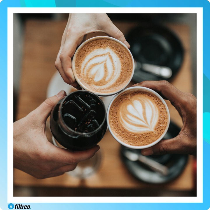 Środek do czyszczenia obiegu mleka 6 saszetek do ekspresu Saeco CA6705