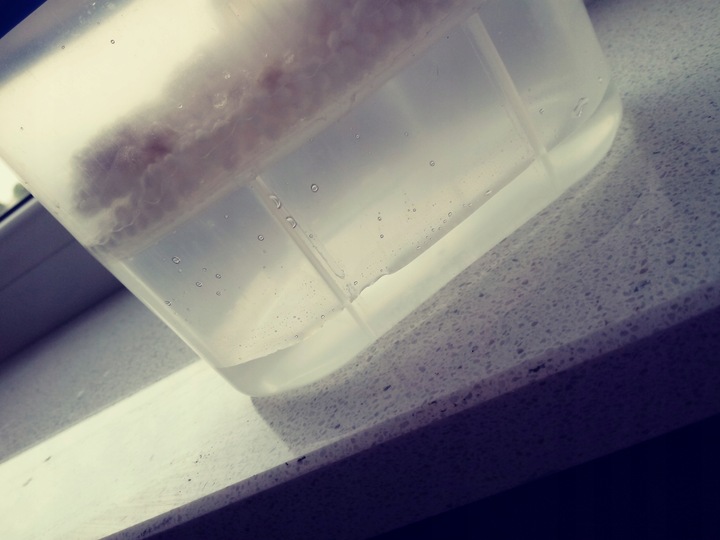 Pochłaniacz wilgoci, osuszacz stojący , zestaw 7 sztuk