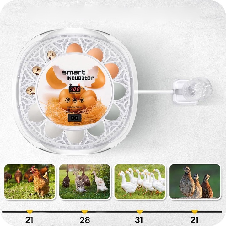 INKUBATOR DO JAJ AUTOMATYCZNY (12 JAJ) WYLĘGARKA KLUJNIK Z OBRACANIEM 35 W