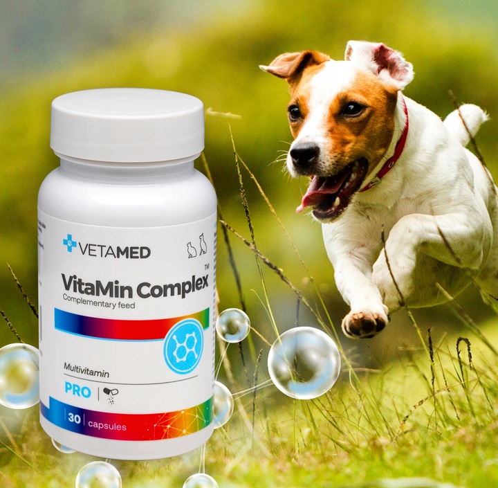 WITAMINY DLA PSA I KOTA 30 kapsułek VETAMED VitaMin Complex + GRATIS